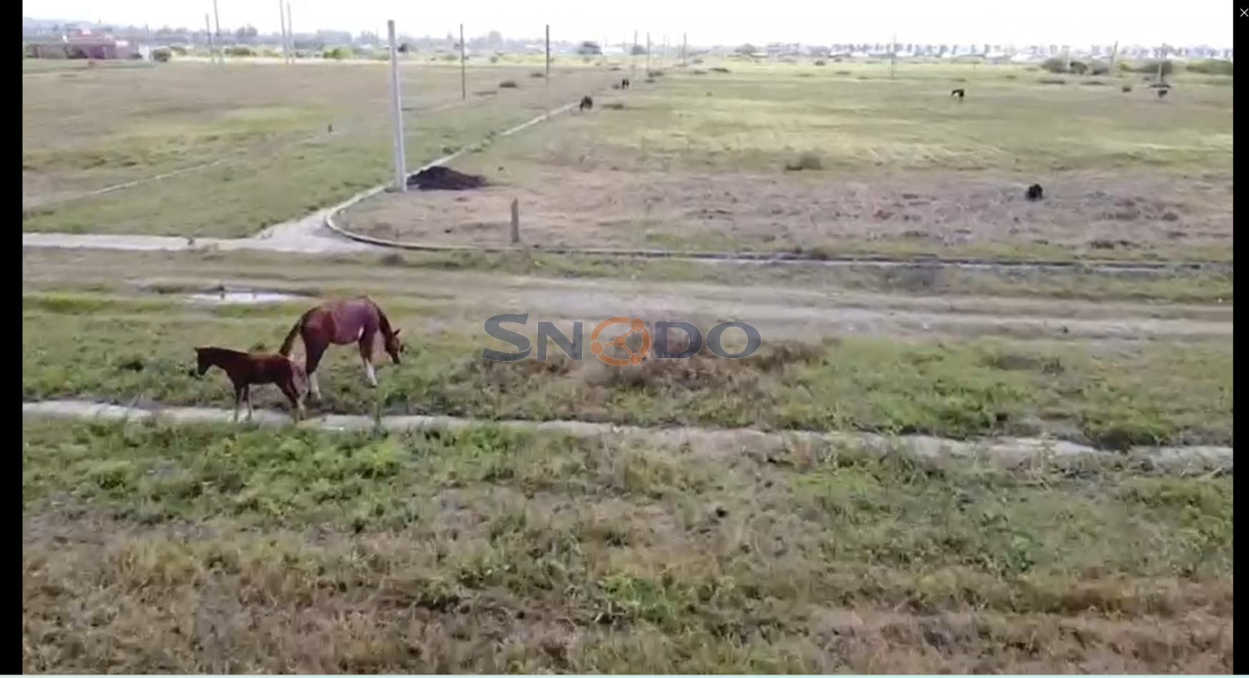 Loteo La Herradura -Los Alisos-